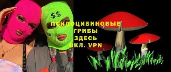 герыч Богородск