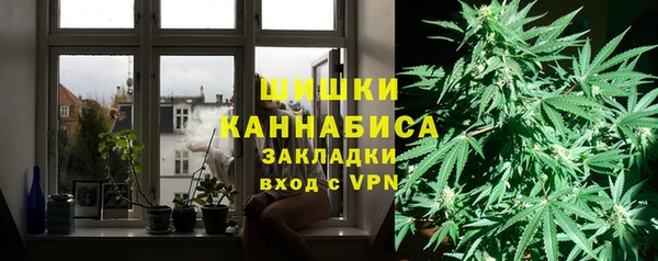 дурь Бронницы