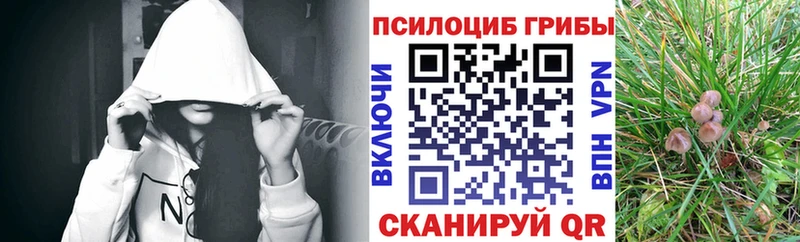 darknet наркотические препараты  Ивангород  Галлюциногенные грибы мицелий  сколько стоит 
